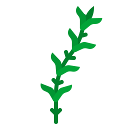 Arbusti