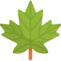 Piante Foglia Caduca