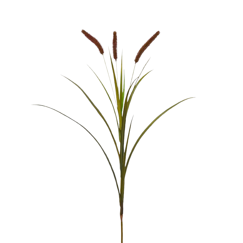 Ramo Di Festuca EDG