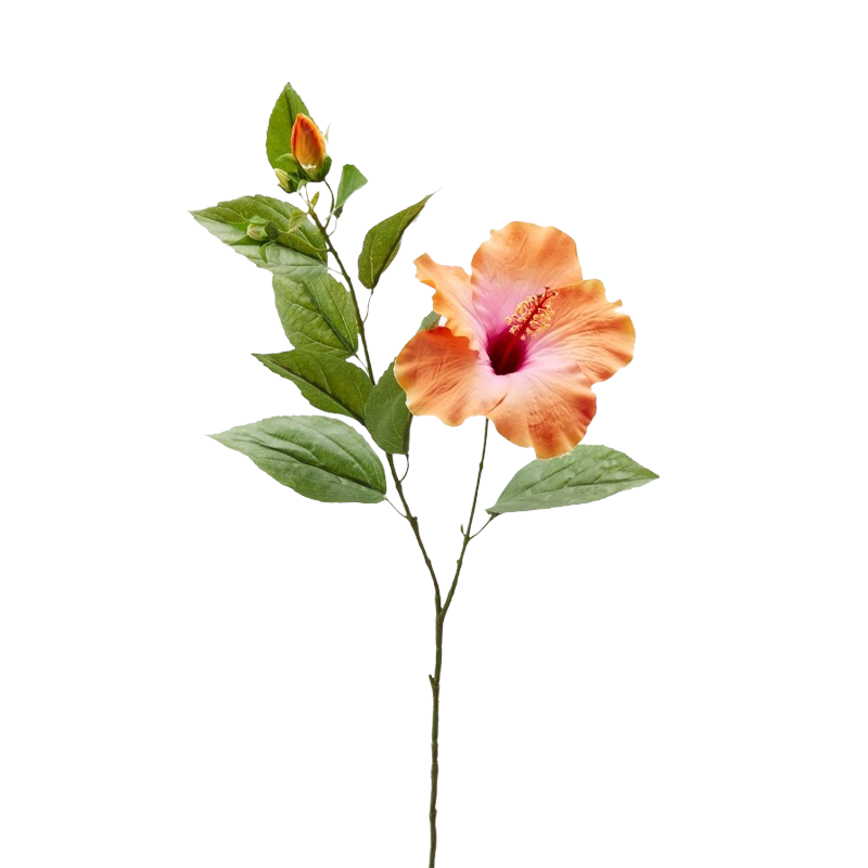 Ramo Di Hibiscus H70