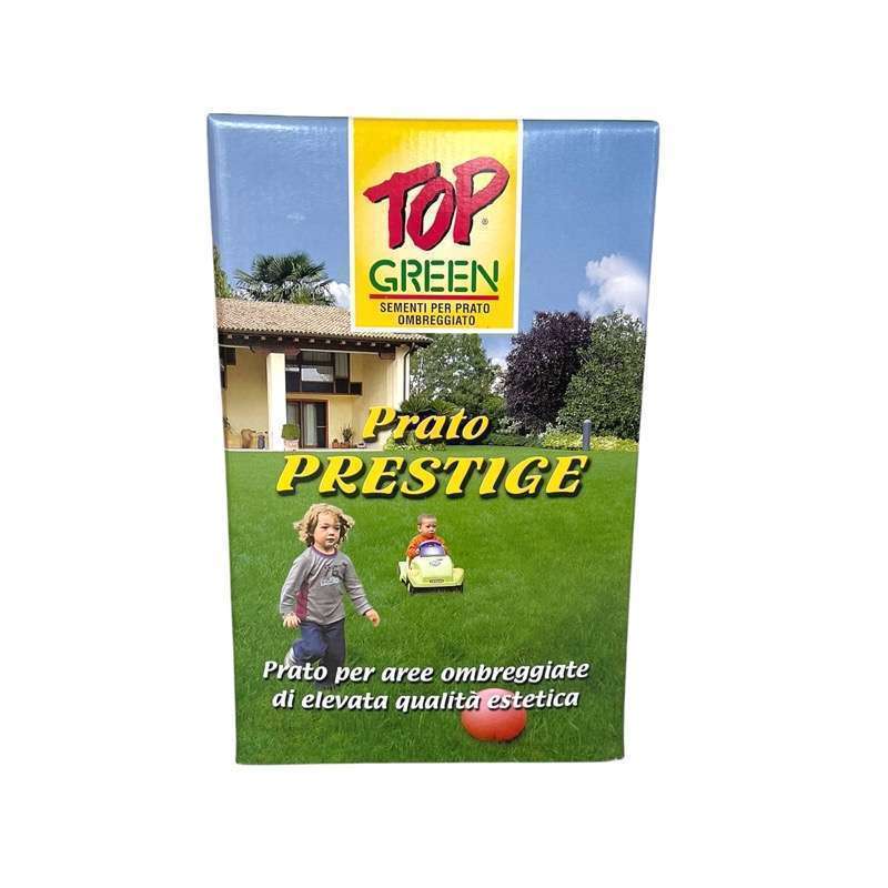 Top Green Sementi Prato Prestige
