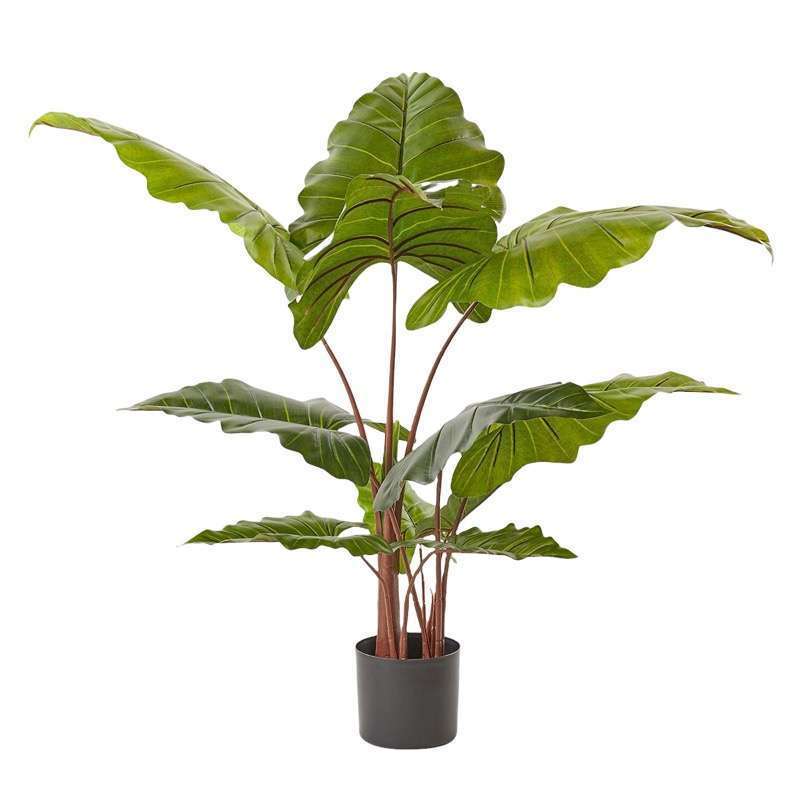 Pianta Artificiale Alocasia Con Vaso EDG