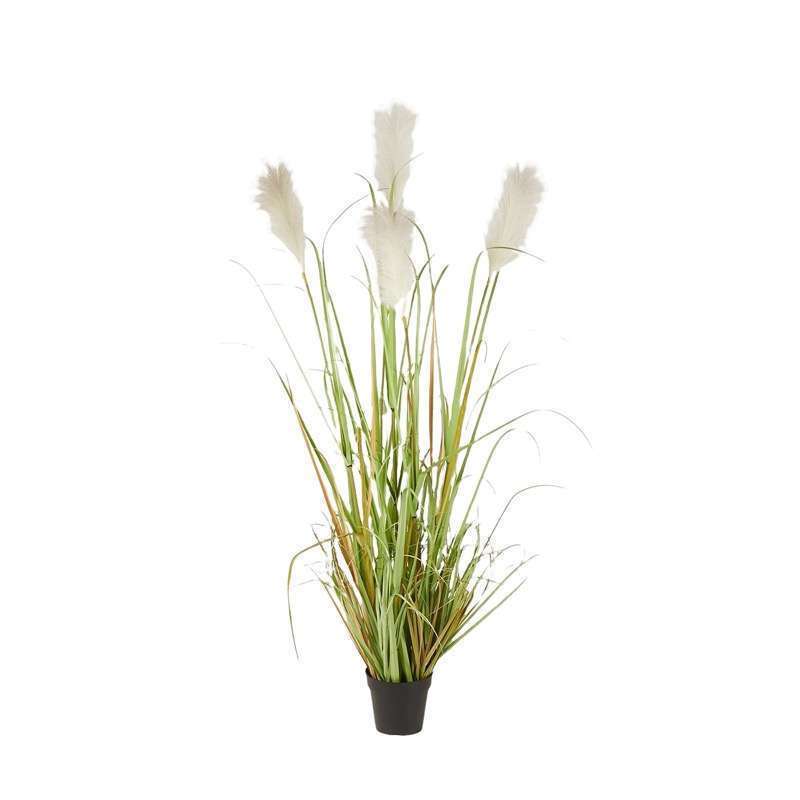 Pianta Pampas Con Vaso H152 EDG