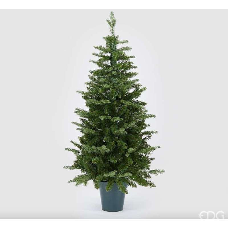 Albero di Natale EDG Pino H120 Con Vaso