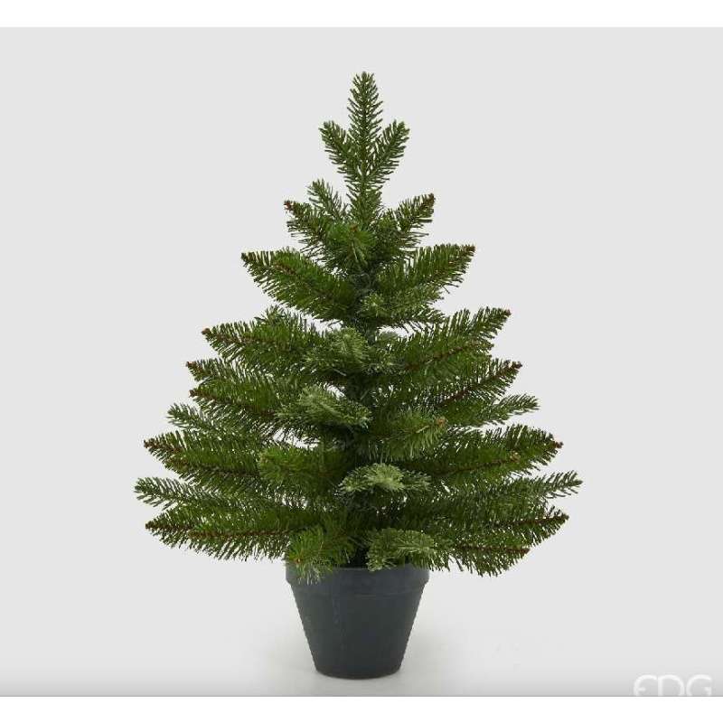 Albero di Natale EDG Pino H60 Con Vaso