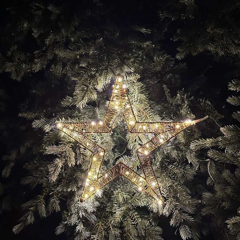 Stella Golden D40 120 Led Tom's Lights