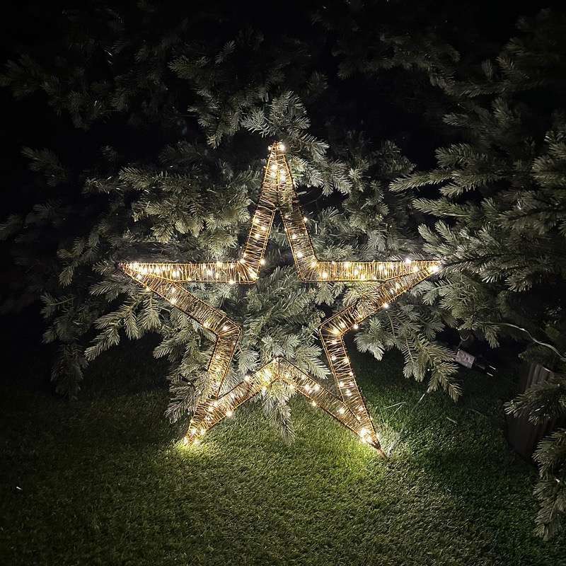 Stella Golden D50 190 Led Tom's Lights