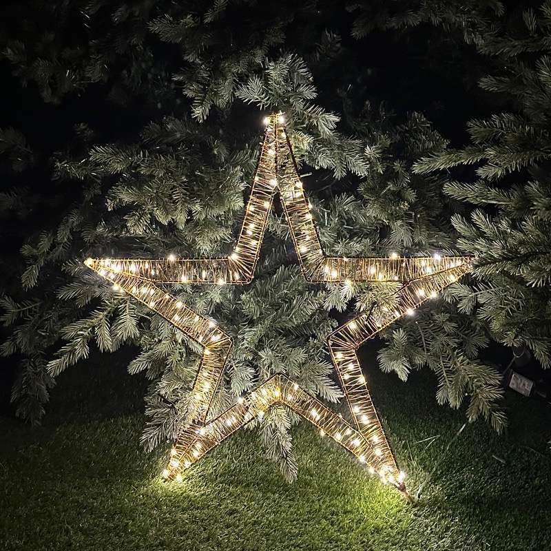 Stella Golden D60 250 Led Tom's Lights