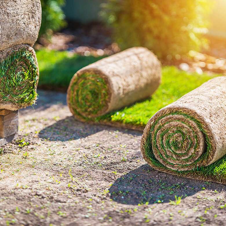 Prato pronto - Garden Vivai Talamonti
